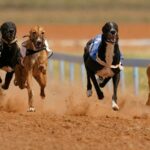 How to claim your online lottery winnings?